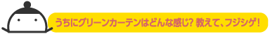 うちに屋上緑化はどんな感じ？教えて、フジシゲ！