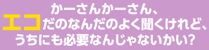 かーさんかーさん、エコだのなんだのよく聞くけれど、うちにも必要なんじゃないかい？