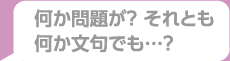 何か問題が？それとも何か文句でも・・・？